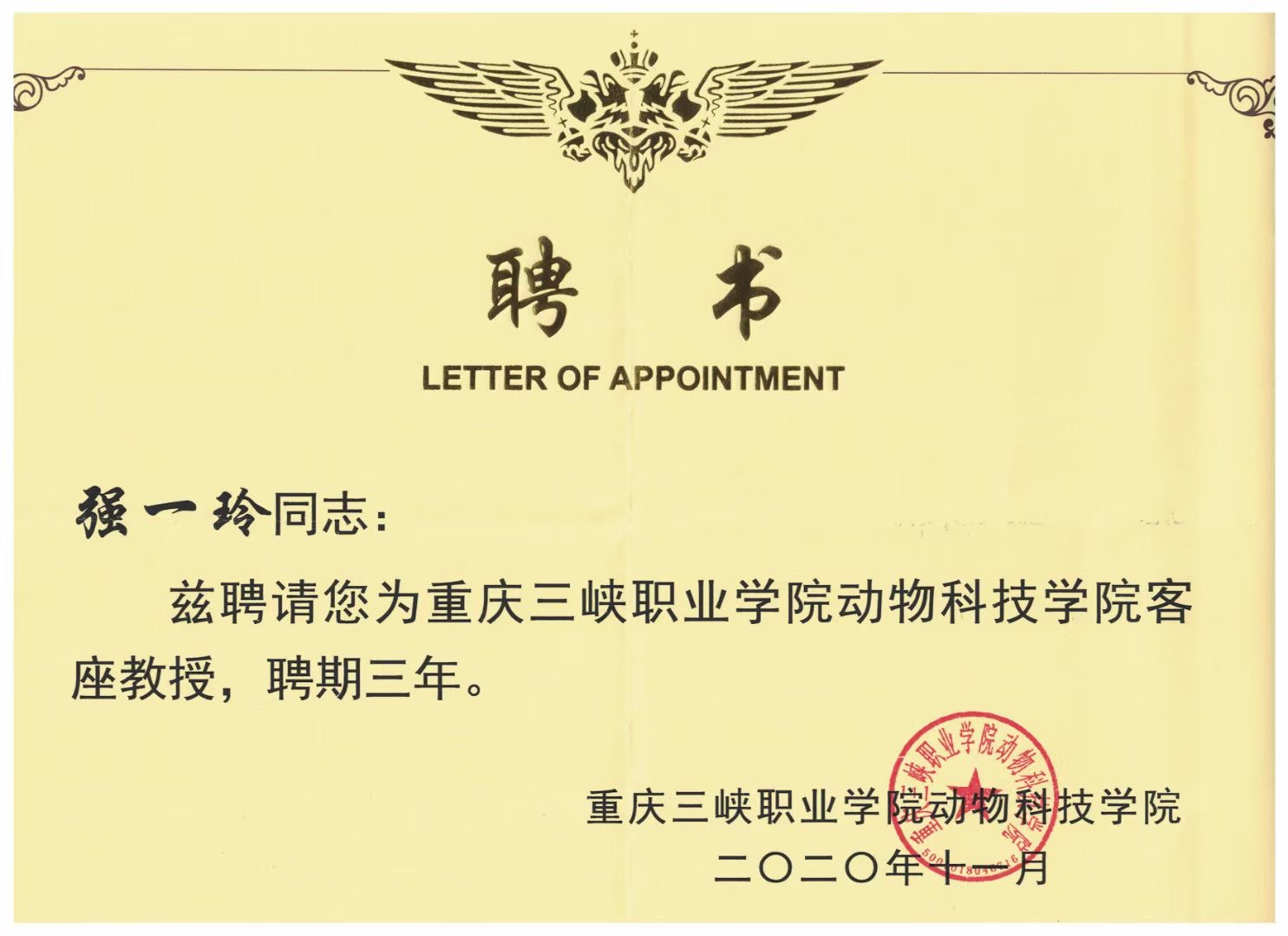 我們的榮譽(yù)