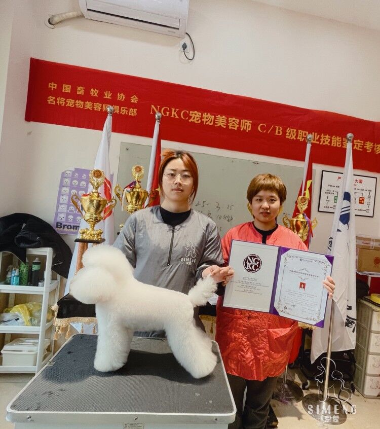 我們的榮譽(yù)