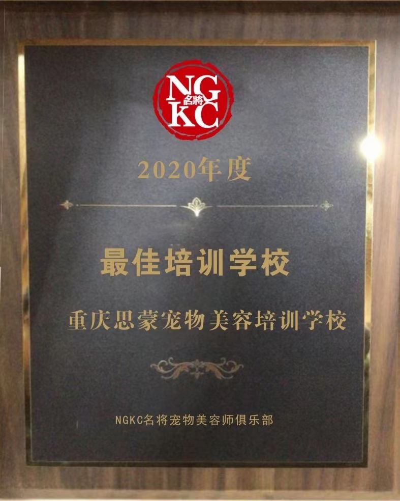我們的榮譽(yù)