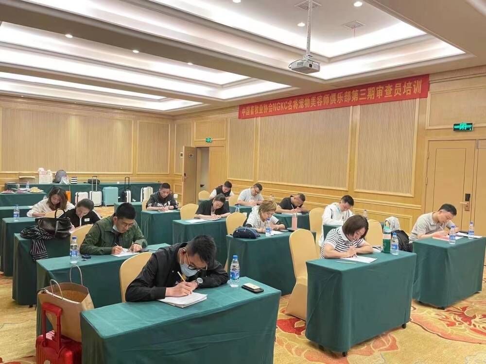 我們的榮譽(yù)