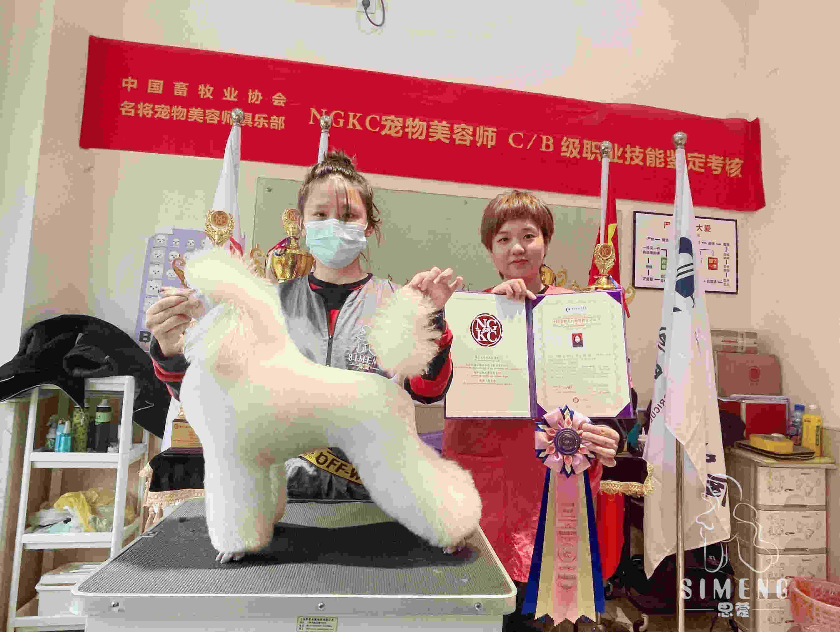 我們的榮譽(yù)