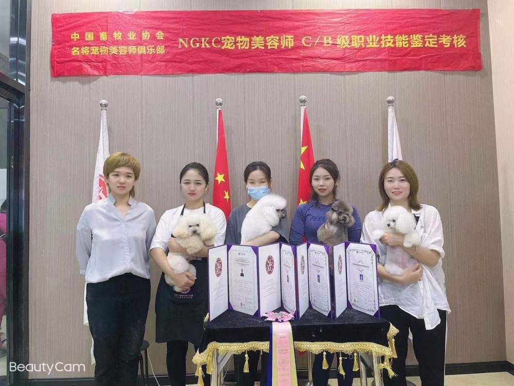 我們的榮譽(yù)
