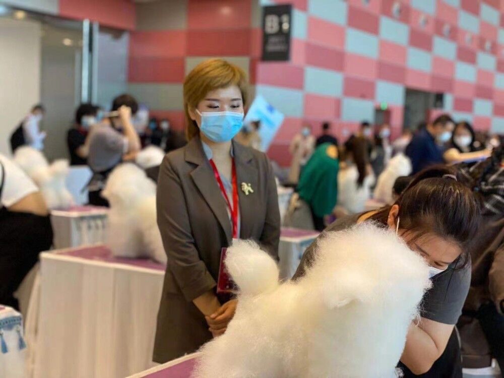 我們的榮譽(yù)