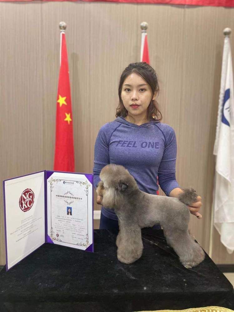 我們的榮譽(yù)