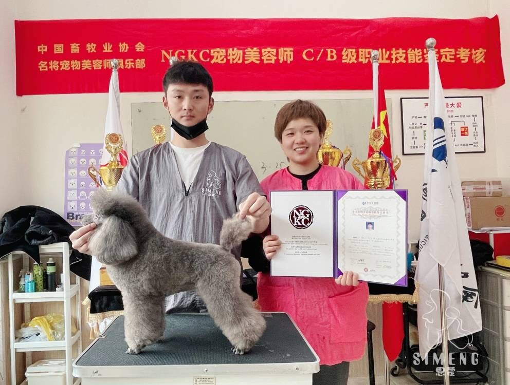 我們的榮譽(yù)