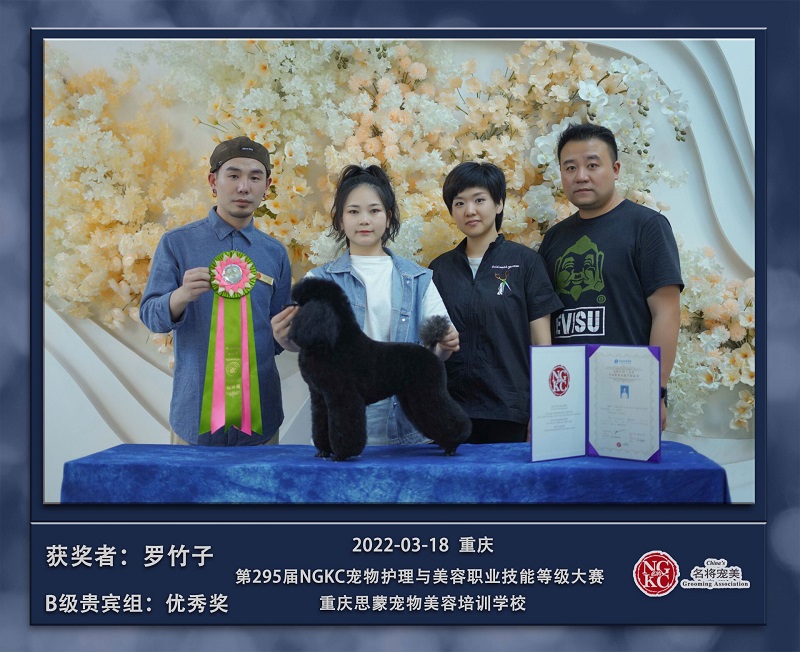 我們的榮譽(yù)