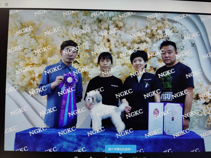 我們的榮譽(yù)