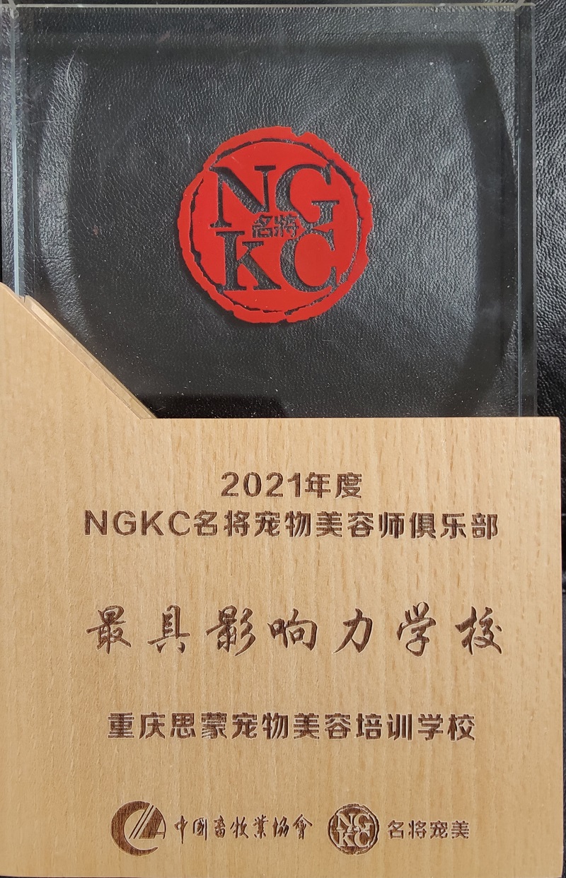 我們的榮譽(yù)