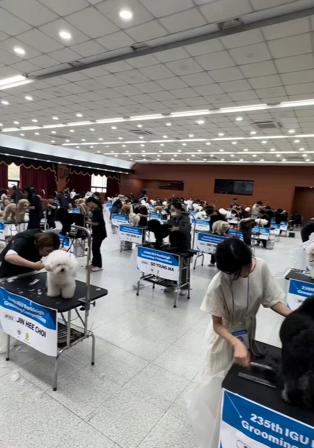 我們的榮譽(yù)