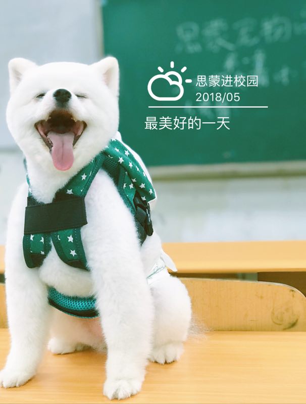 外聯(lián)活動