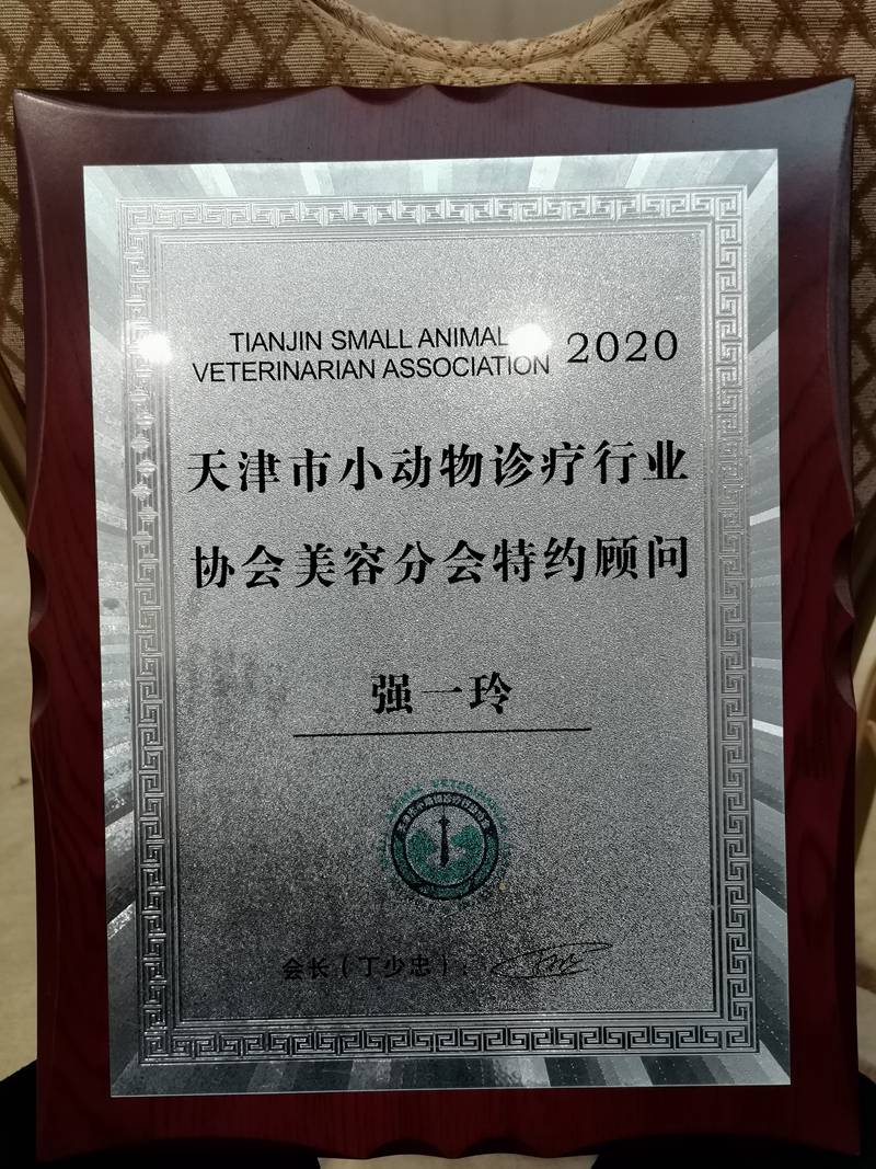 外聯(lián)活動
