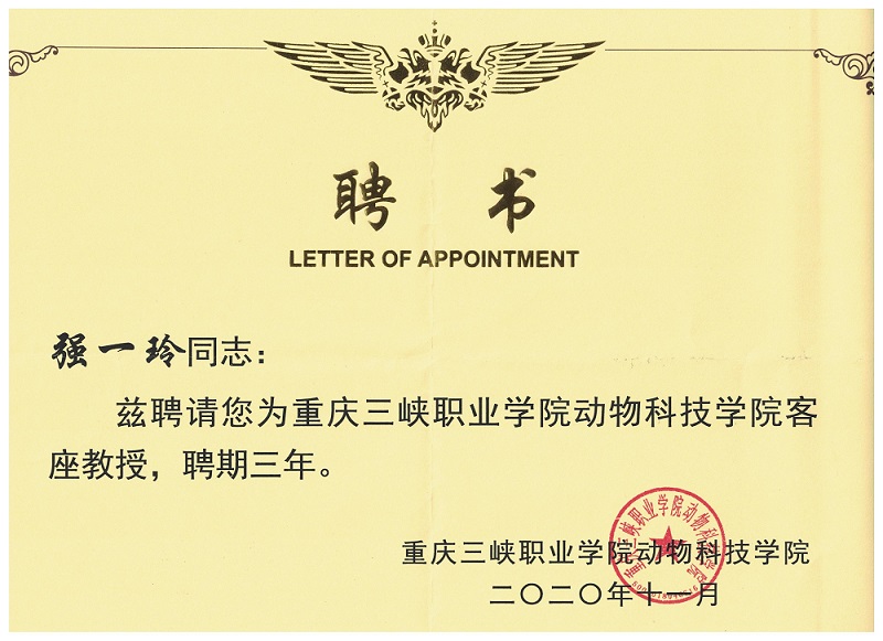 外聯(lián)活動