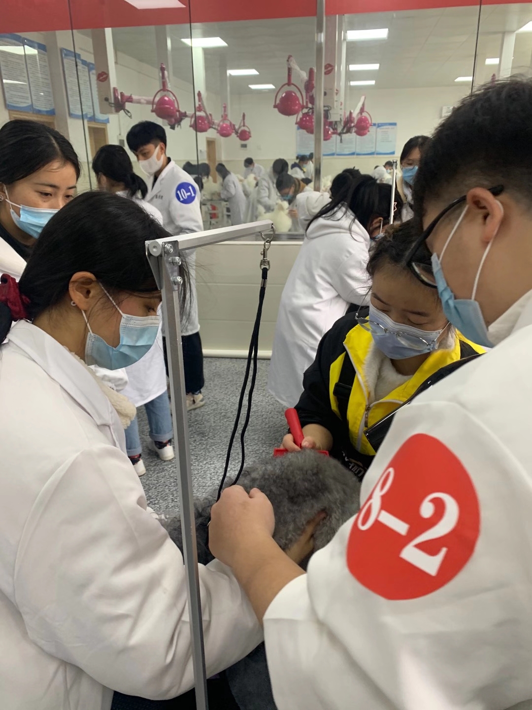 貴州銅仁職業(yè)技術學院
