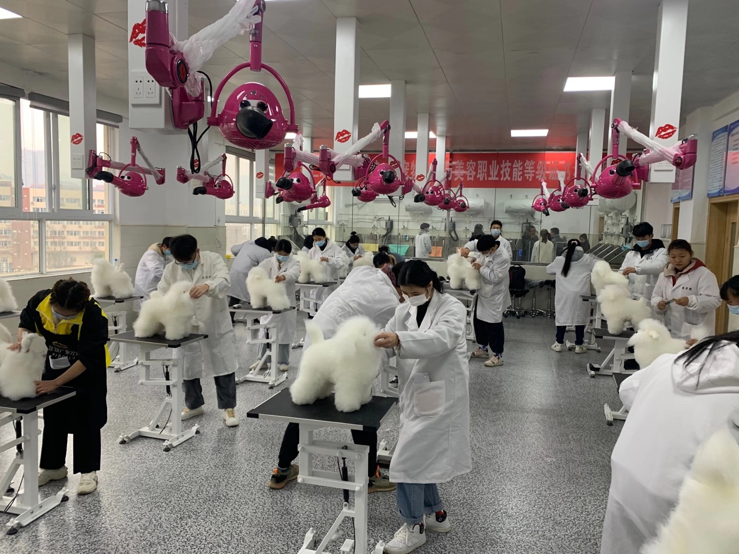 貴州銅仁職業(yè)技術學院