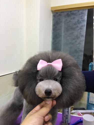 優(yōu)秀作品