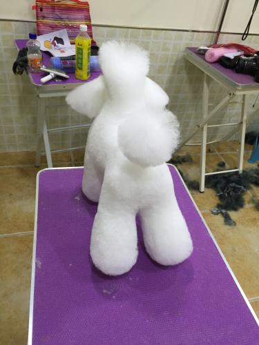 優(yōu)秀作品