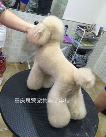 優(yōu)秀作品
