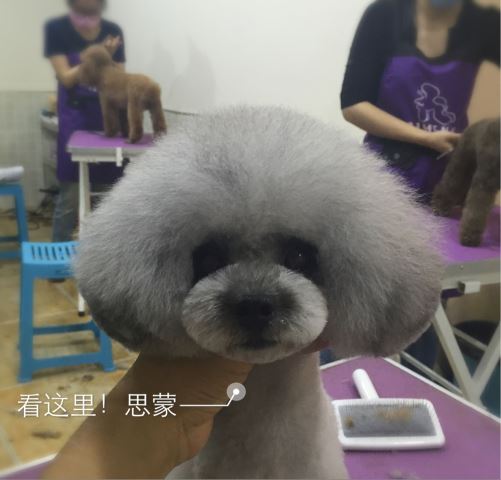優(yōu)秀作品