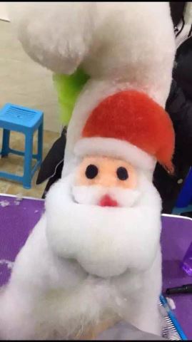 優(yōu)秀作品