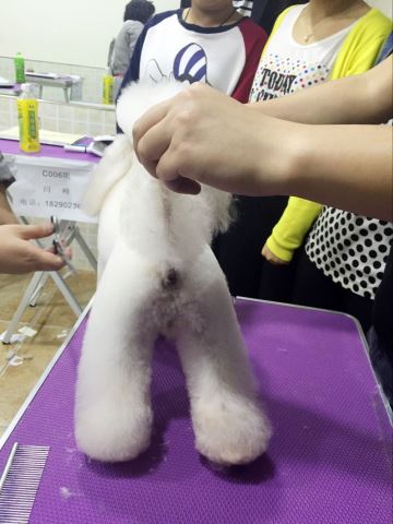 優(yōu)秀作品