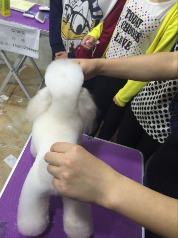優(yōu)秀作品