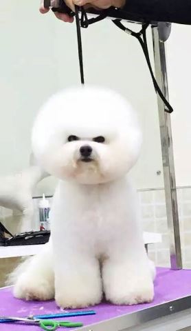 優(yōu)秀作品