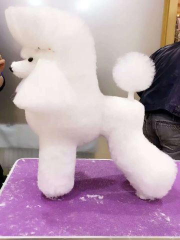 優(yōu)秀作品