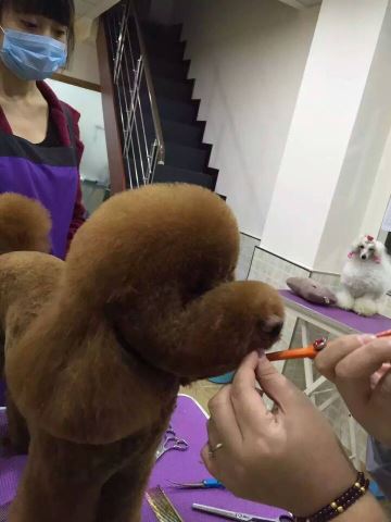 優(yōu)秀作品