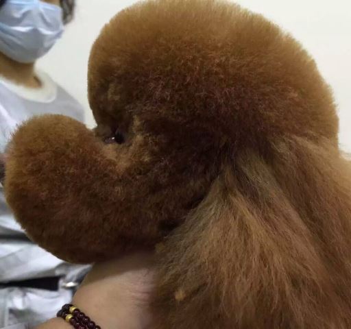 優(yōu)秀作品