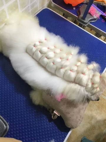 優(yōu)秀作品