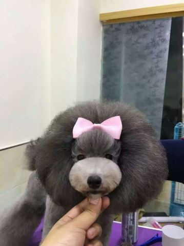 優(yōu)秀作品
