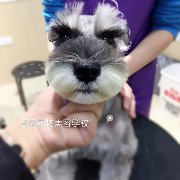 優(yōu)秀作品