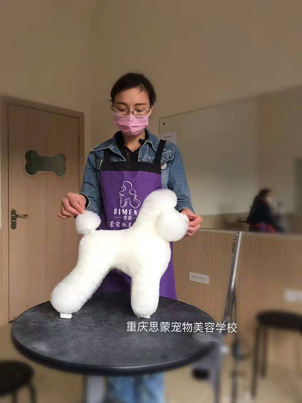 優(yōu)秀作品