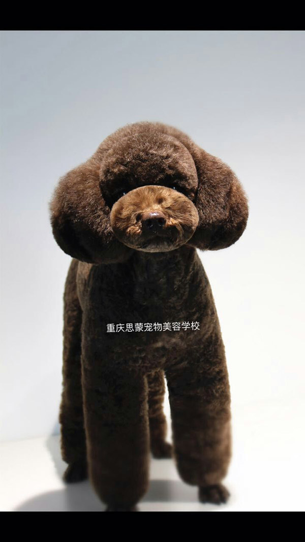 優(yōu)秀作品