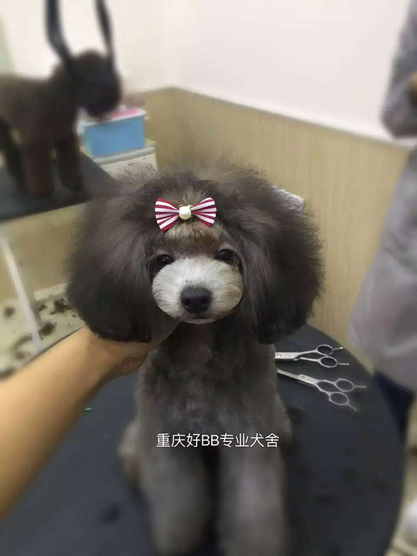 優(yōu)秀作品