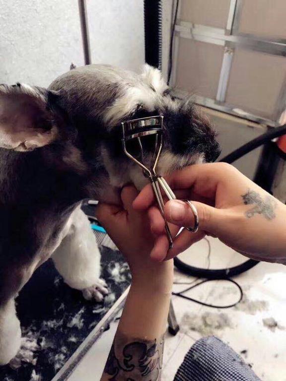 優(yōu)秀作品