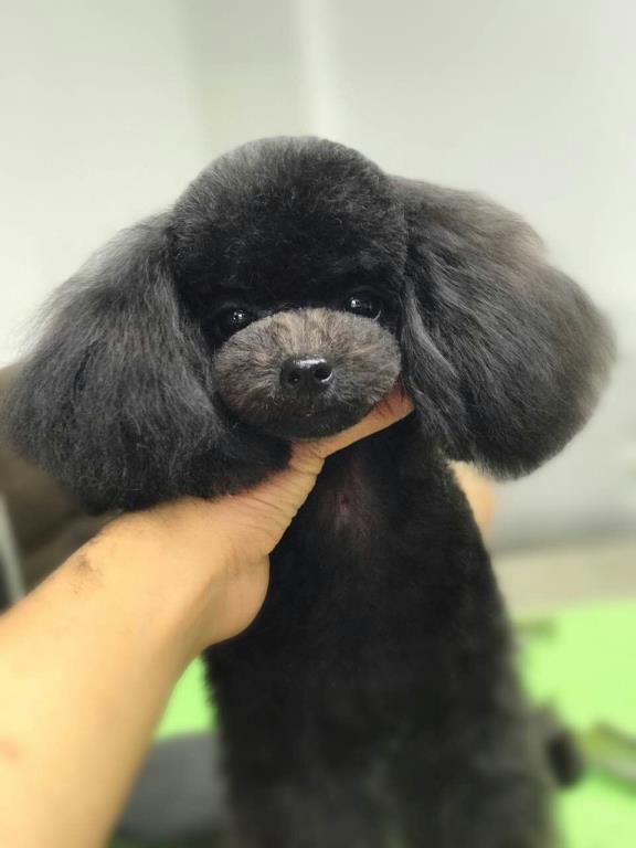 優(yōu)秀作品
