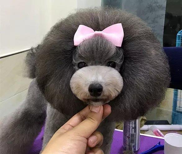 優(yōu)秀作品
