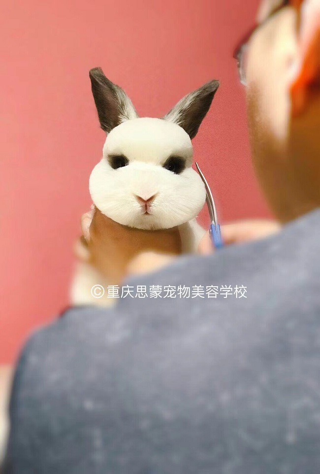 優(yōu)秀作品