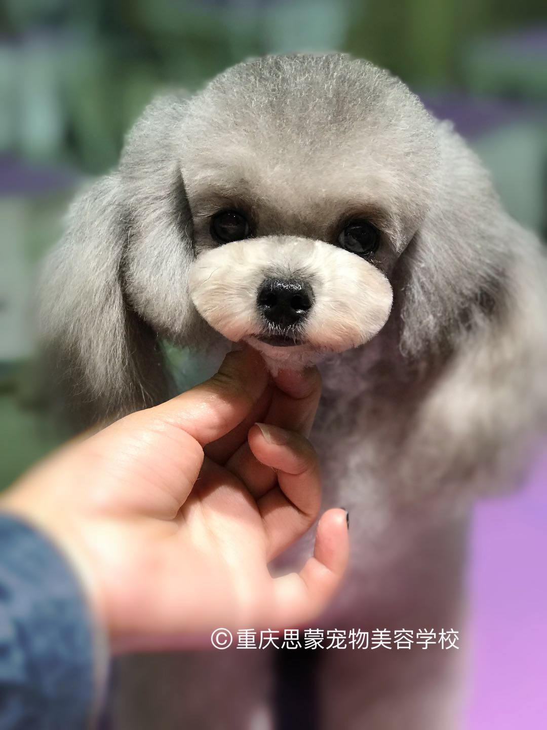 優(yōu)秀作品