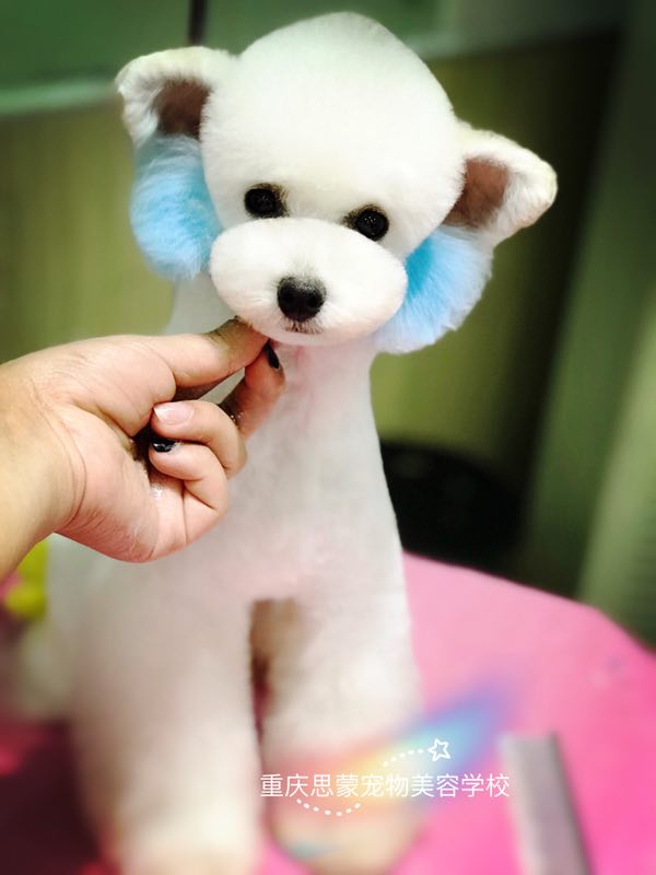 優(yōu)秀作品