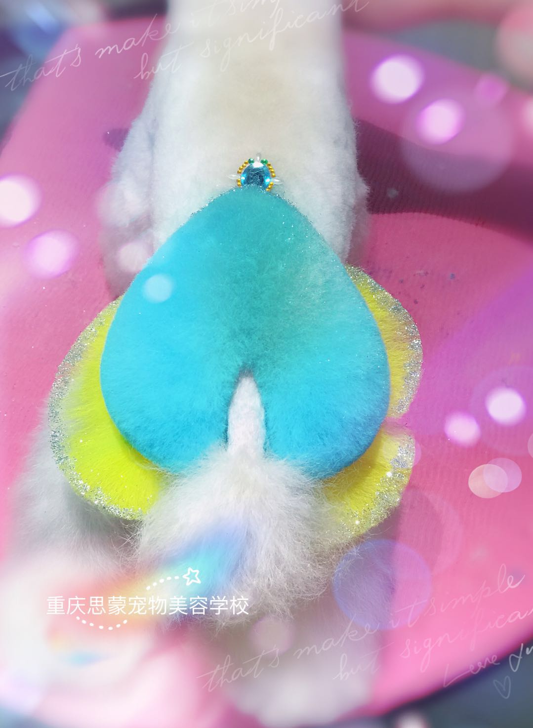 優(yōu)秀作品
