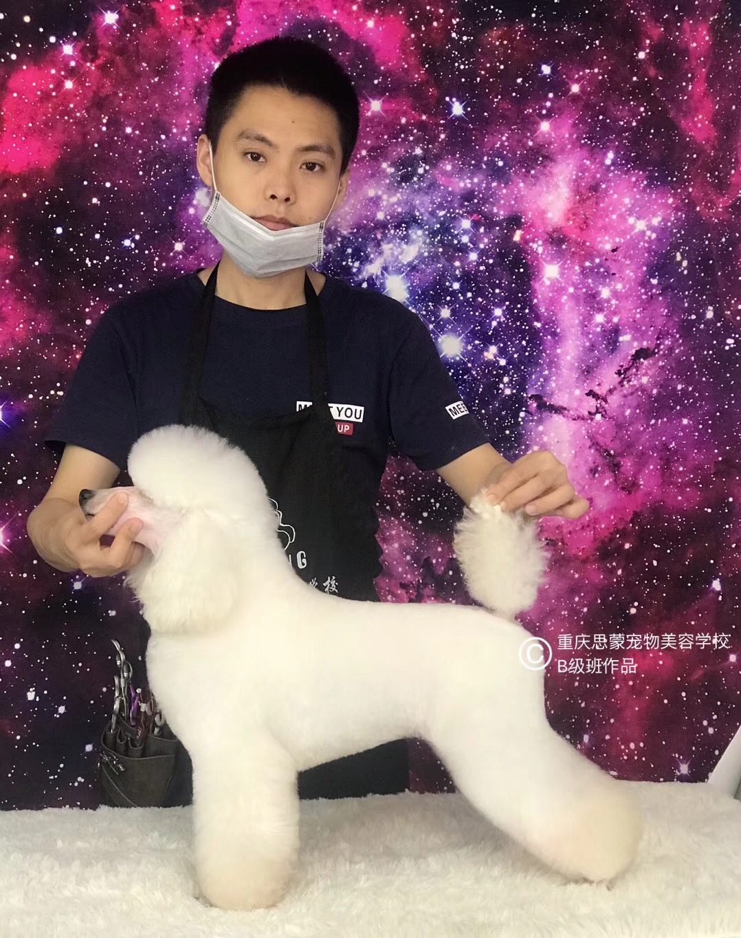 優(yōu)秀作品