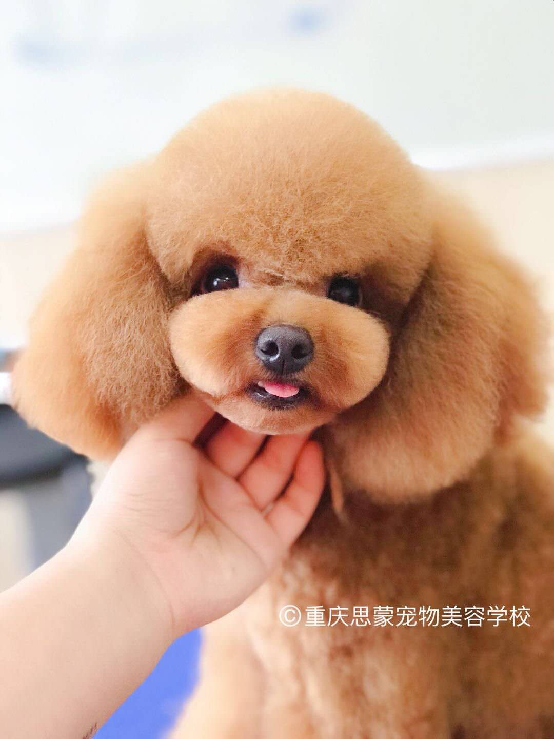優(yōu)秀作品