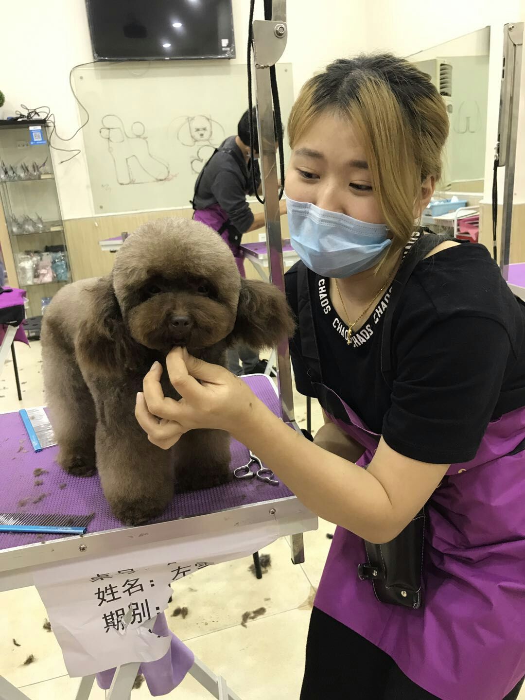 優(yōu)秀作品