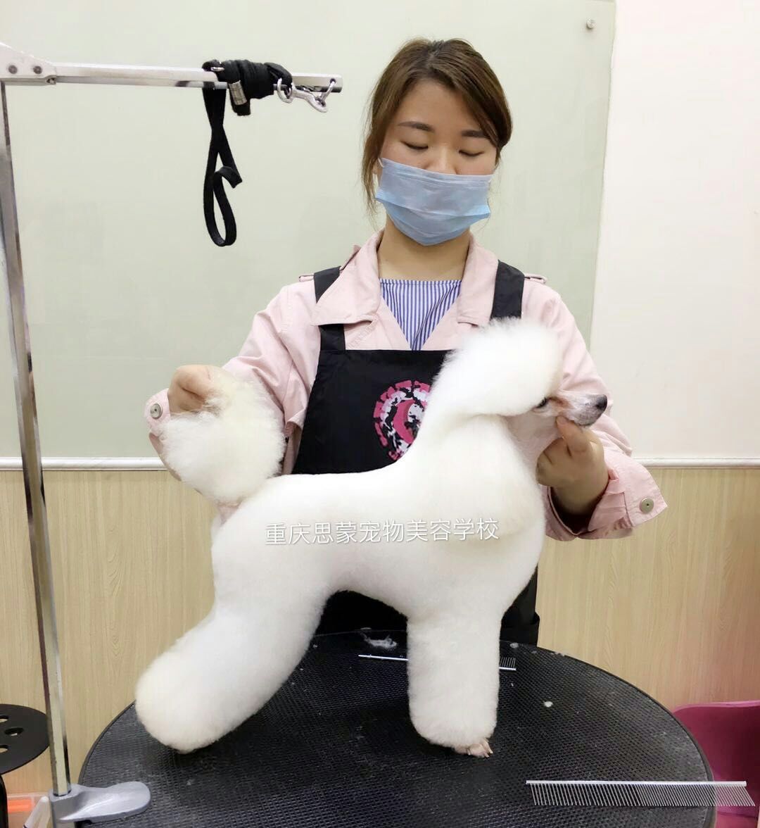 優(yōu)秀作品