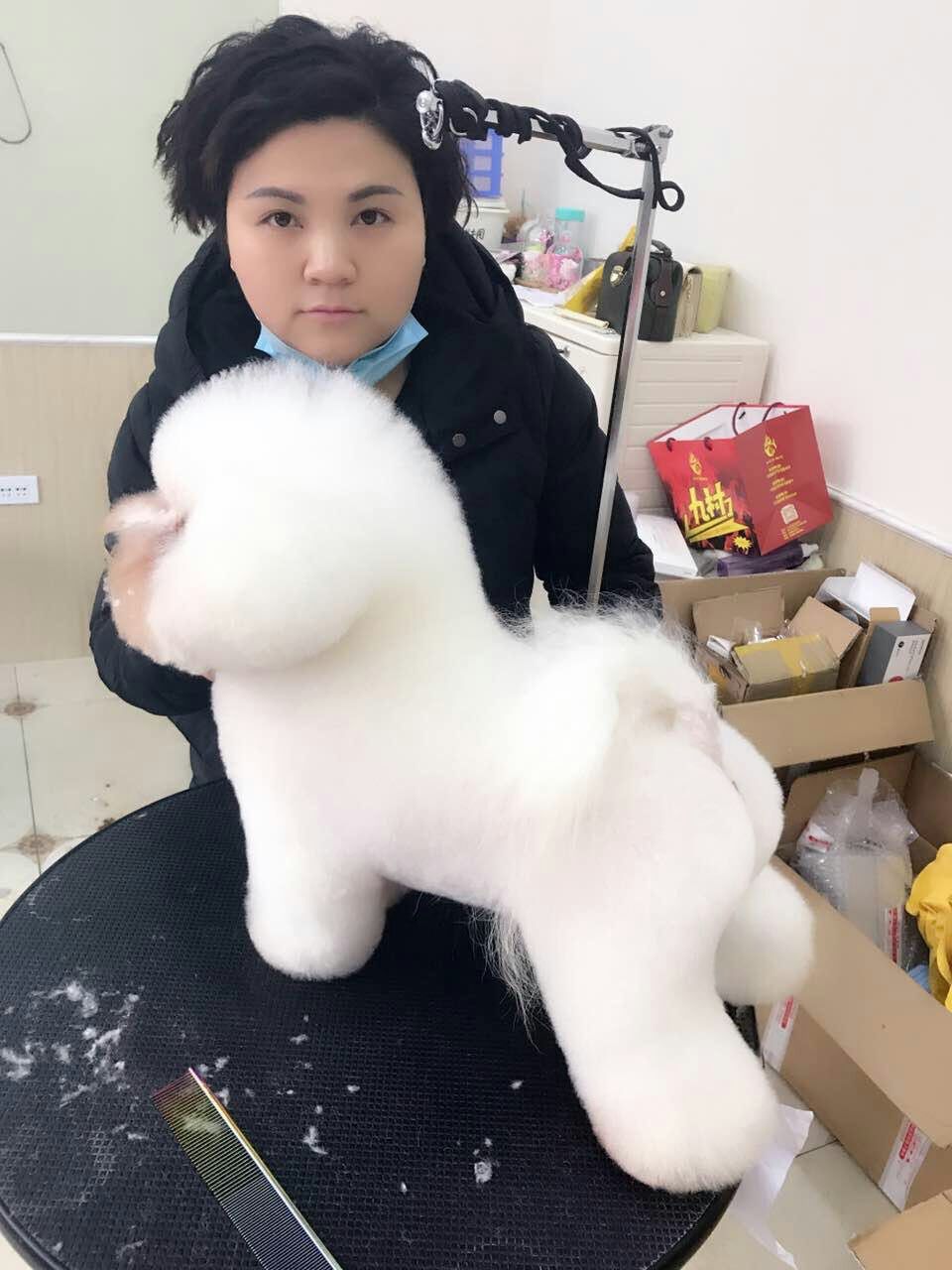 優(yōu)秀作品