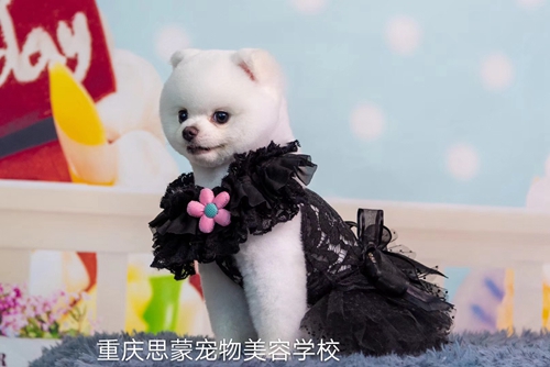 優(yōu)秀作品