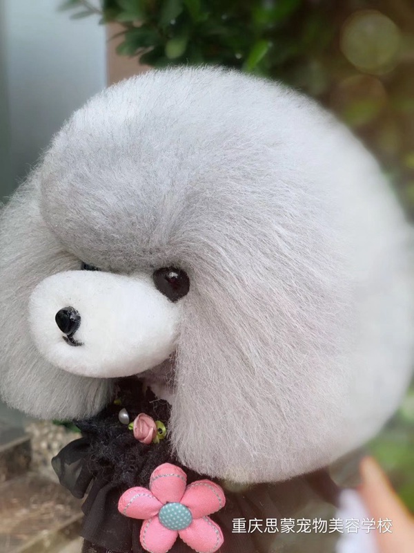 優(yōu)秀作品