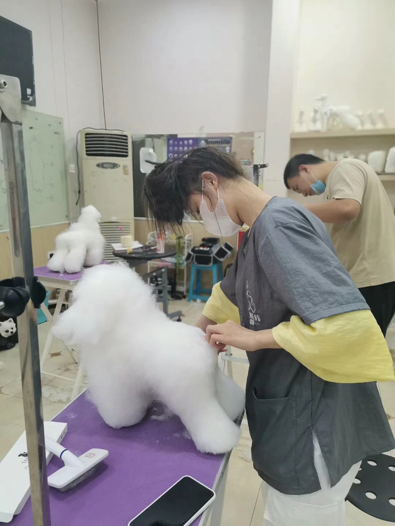 優(yōu)秀作品